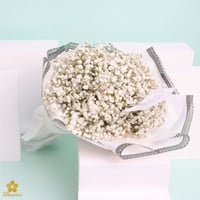 بوكيه جبسو أبيض طبيعي مع التغليف NF022