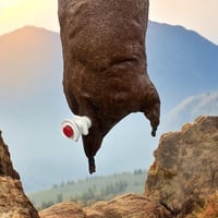 صميل - قربة ماء