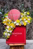 تنسيق الاناقة من شوكلات هنوفريني