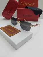 نظارات كارتير