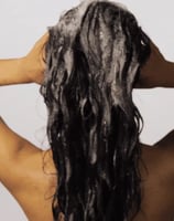 شامبو اكيور بالارغان وعشبة الليمون - 236 مل