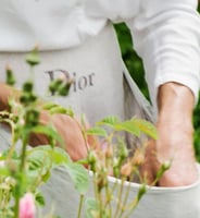 عطر ديور مس ديور روز ني روز او دو تواليت - 100 مل