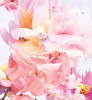 عطر ميس ديور بلومينج بوكيه أو دي تواليت للنساء - 5...