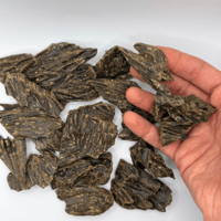 عود الكلمنتان المحسن