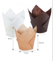 قالب مفن ورقي