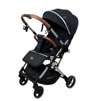 عربية الطائرة الاقتصادية اتجاهين