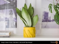 Fillamentum ASA Extrafill (Dijon Mustard) 3D Print...