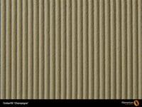 Fillamentum Timberfill® (Champagne) 3D Printing Fi...