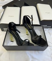 أسود كعب ذهبي