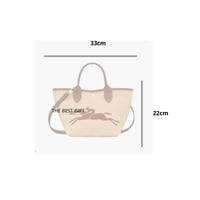 longchamp bag