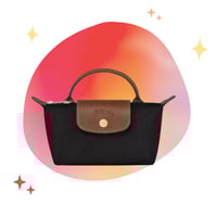 longchamp mini _ With strap