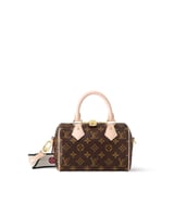 speedy lv bag 20