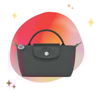 longchamp mini _ With strap