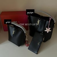 YSL bag Medium