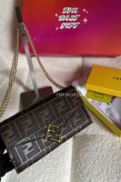 fendi bag