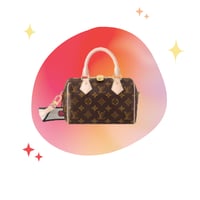 speedy lv bag 20
