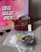 longchamp mini _ With strap