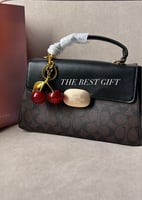 coach bag - eliza