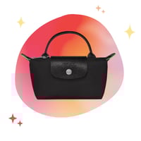 longchamp mini _ With strap