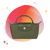 longchamp mini _ With strap