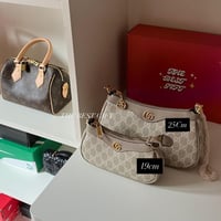 Gucci mini 19cm Bag