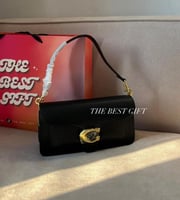 26cm coach tabby bag
