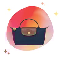 longchamp mini _ With strap