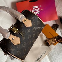 speedy lv bag 20