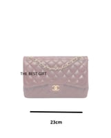 chanel bag 23cm