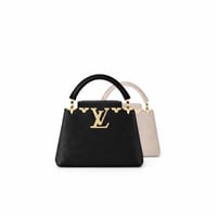 lv Capucines Mini