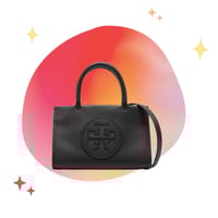 Tory burch mini bag