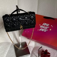 Dior Bag
