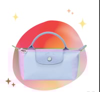 longchamp mini _ With strap