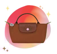 longchamp mini _ With strap