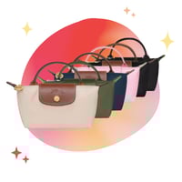 longchamp mini _ With strap