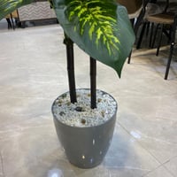 نبات صناعي - 150 سم