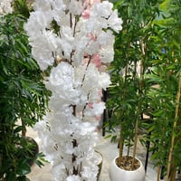 شجرة صناعية الكرز الأبيض - 170 سم