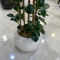 نبات صناعي - 160 سم