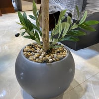 شجرة الزيتون صناعي مركن رصاصي - 160 سم