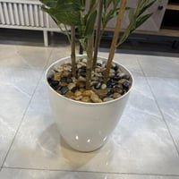 شجرة الزيتون صناعي مركن ابيض - 140 سم