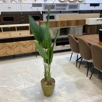 نبات صناعي - 150 سم