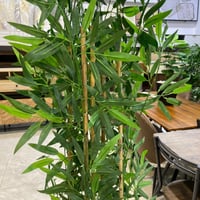 نبات صناعي مع اصيص اسود - 170 سم