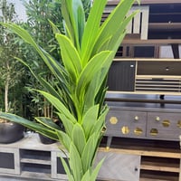 شجرة بامبو صناعي مركن اسود - 160 سم