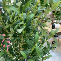 شجرة الزيتون صناعي مركن اسود - 160 سم