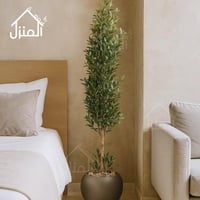 شجرة الزيتون صناعي مركن رصاصي - 160 سم