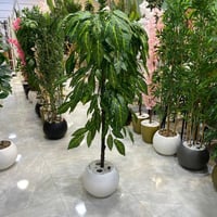 نبات صناعي - 160 سم