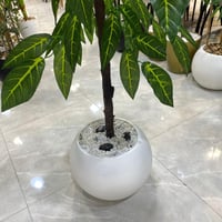 نبات صناعي - 160 سم