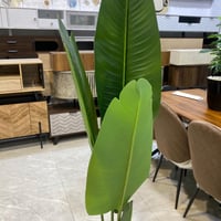 نبات صناعي - 150 سم