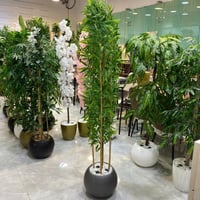 نبات صناعي - 170 سم