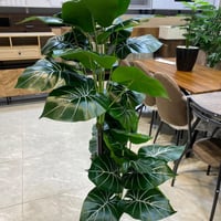 نبات صناعي - 150 سم